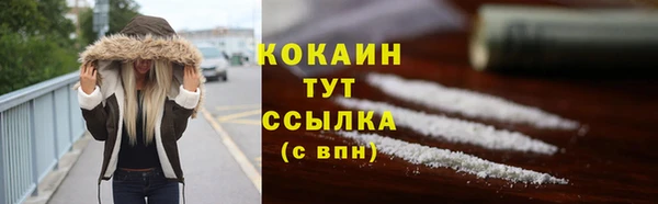 ПСИЛОЦИБИНОВЫЕ ГРИБЫ Алексин