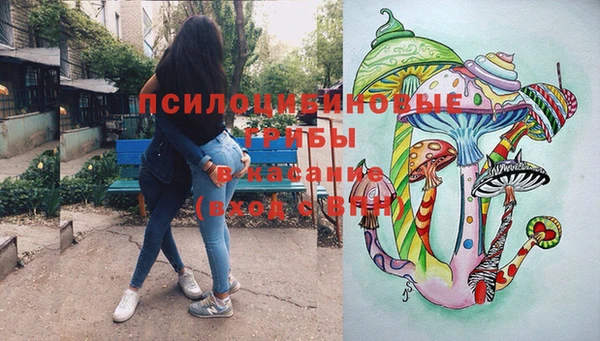 ешки Алзамай