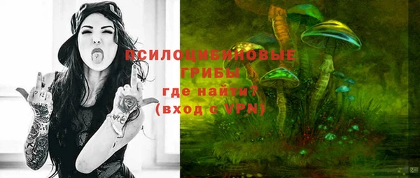 амф Заволжье