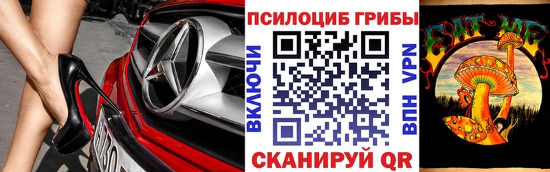 Галлюциногенные грибы Psilocybe  KRAKEN   Игарка 